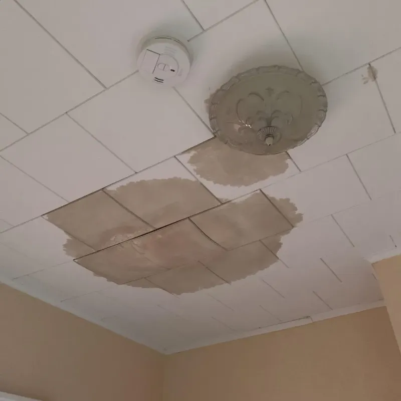 Ceiling Water Damage Repair in Connell, WA