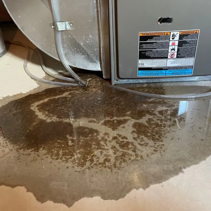 Pipe Burst and Leak Restoration in Connell, WA