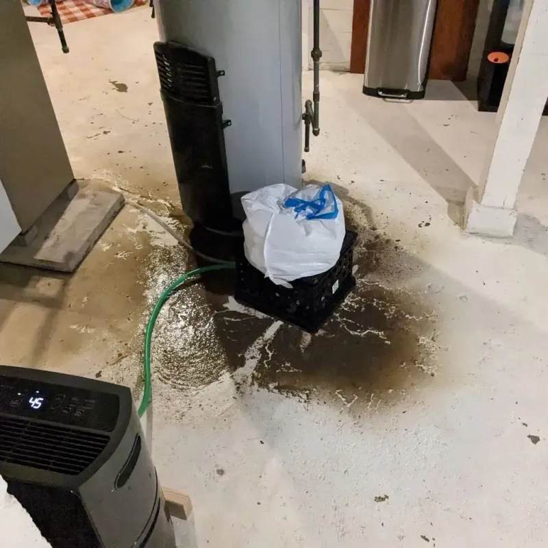 Sewage Backup Cleanup Service in Connell, WA